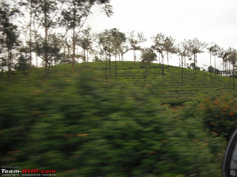 Trip to Thekkady- Theni, Madurai with photos-dscf0023-1024x768.jpg