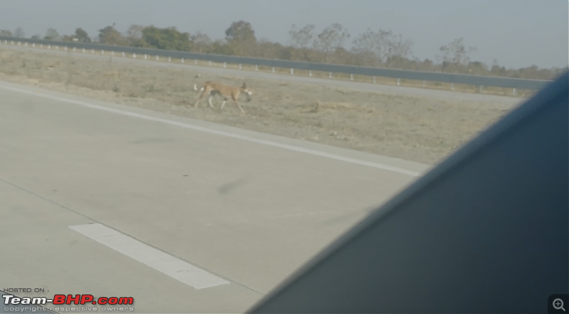 Driving my BMW M340i to Pench Tiger Reserve via Samruddhi Expressway-screenshot-20230226-9.34.13-pm.png