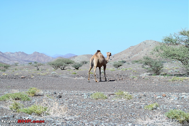 My Travel Diary | Rediscovering Oman, a journey of nostalgia and exploration-img_4889.jpg