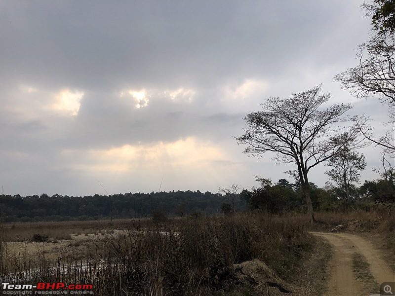 Calcutta to Corbett - In search of a Tiger-6a0a2ab027e4448bb847d608adb14a08.jpeg