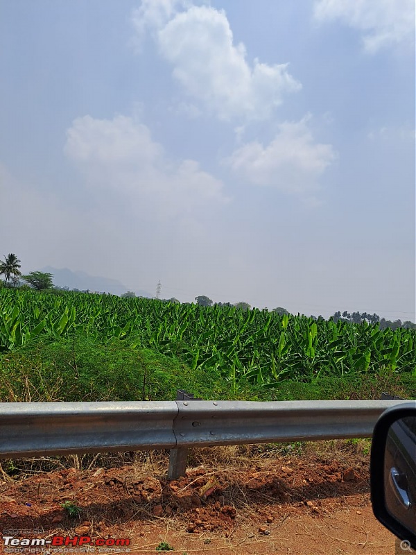 My Maiden Hill Drive | Kodaikanal - Princess of Hill Stations-enroute_dglbatlagundu_3.jpg