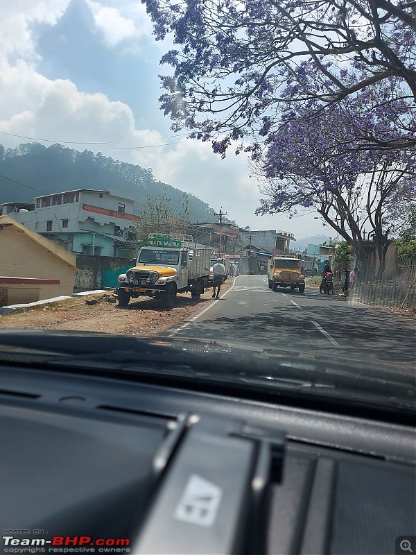My Maiden Hill Drive | Kodaikanal - Princess of Hill Stations-movingup_5_jacaranda.jpg