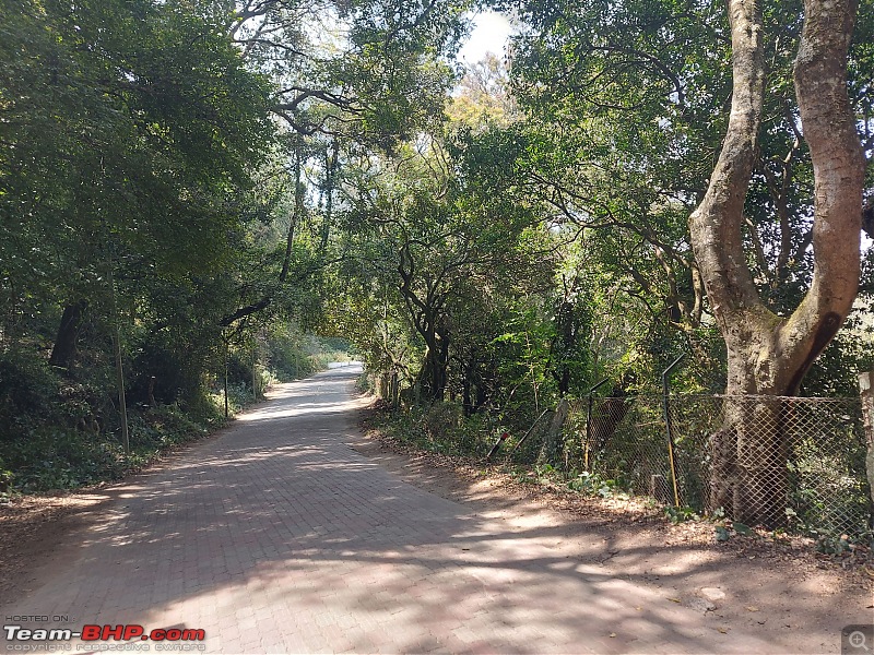 My Maiden Hill Drive | Kodaikanal - Princess of Hill Stations-uppersholaroad_1.jpg