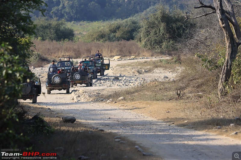 Calcutta to Corbett - In search of a Tiger-f3b76187be2048f38783c0b7c474d4ad.jpeg