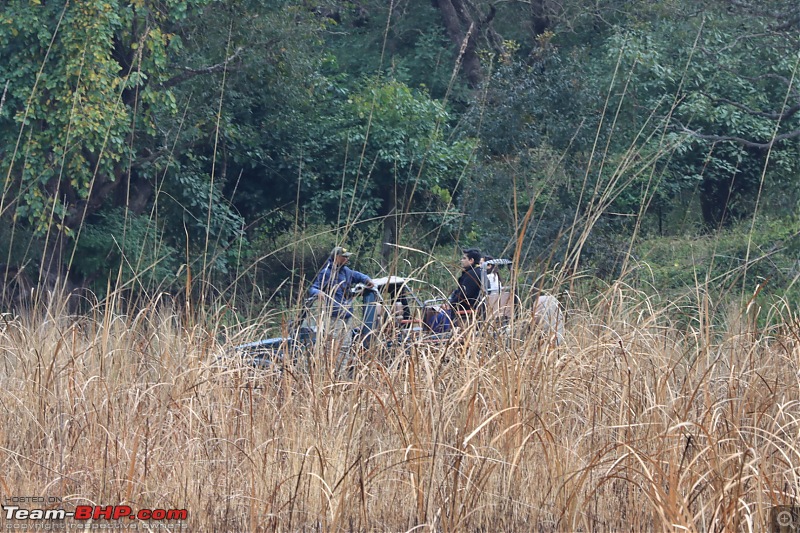 Calcutta to Corbett - In search of a Tiger-36ba02fe76db4bf59da2922e014c897f.jpeg
