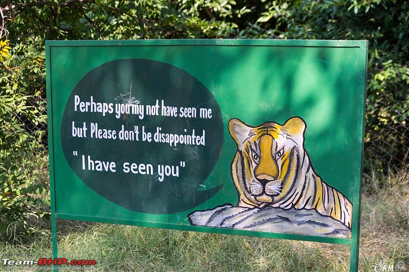 Calcutta to Corbett - In search of a Tiger-c813c22828b84f4097ff970e64489bf5.jpeg