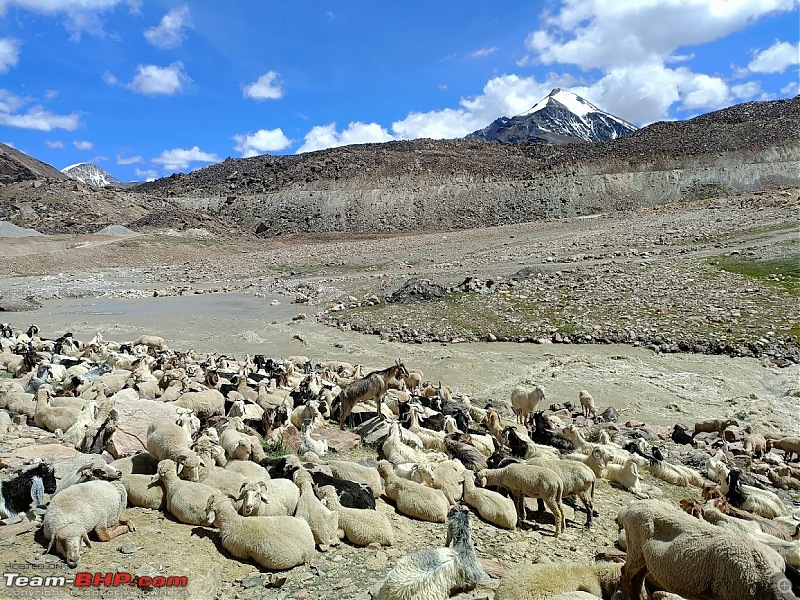 Zanskar: The Wrong Way | 5 days & 1600 km on the saddle-5.1.jpg