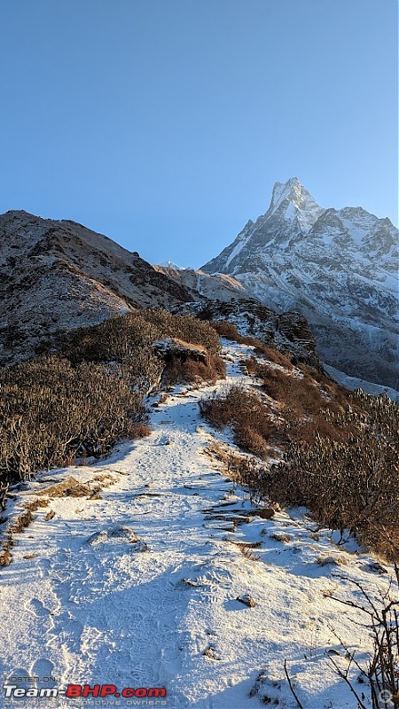 Trek Report: My solo trekking adventure to Mardi Himal in Nepal-d54.jpg