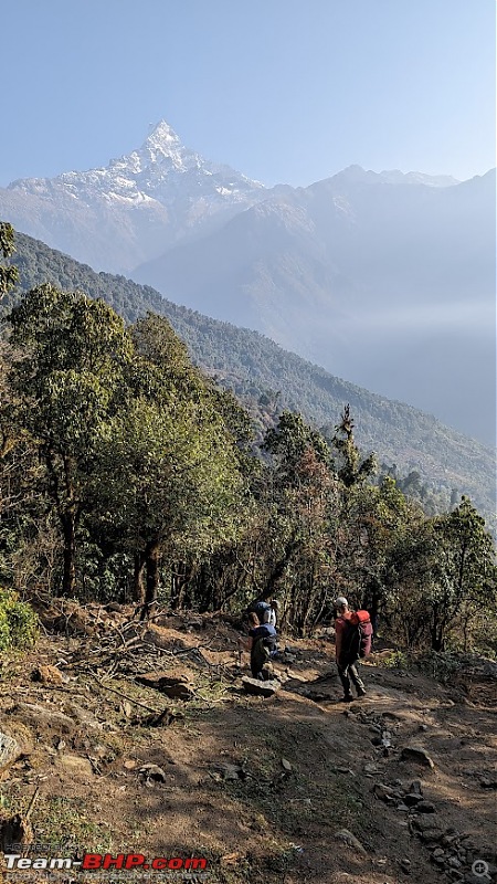 Trek Report: My solo trekking adventure to Mardi Himal in Nepal-d67.jpg