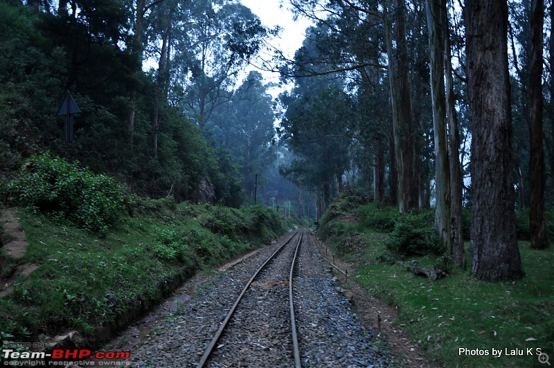 Swifted :  Ooty-dsc_0279.jpg