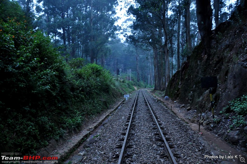 Swifted :  Ooty-dsc_0280.jpg