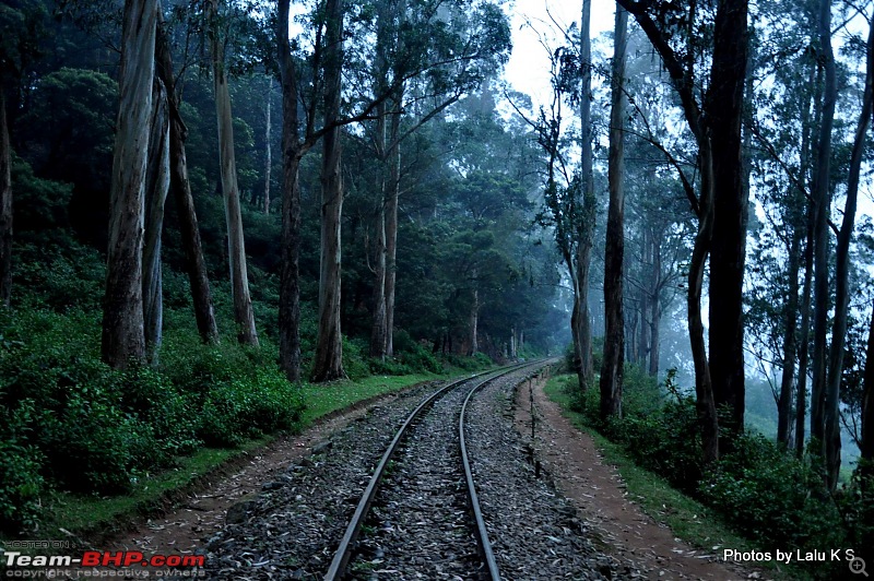 Swifted :  Ooty-dsc_0282.jpg