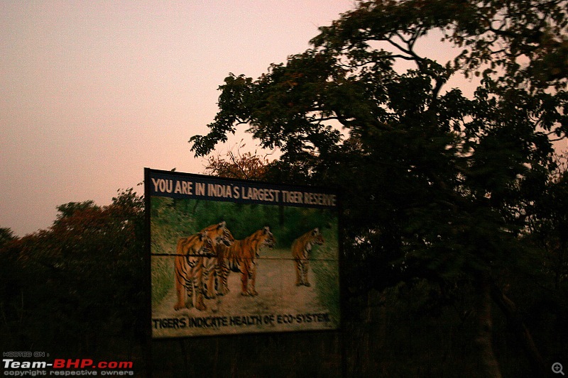 Our shortest trip into Srisailam forest, ever.-ss3.jpg