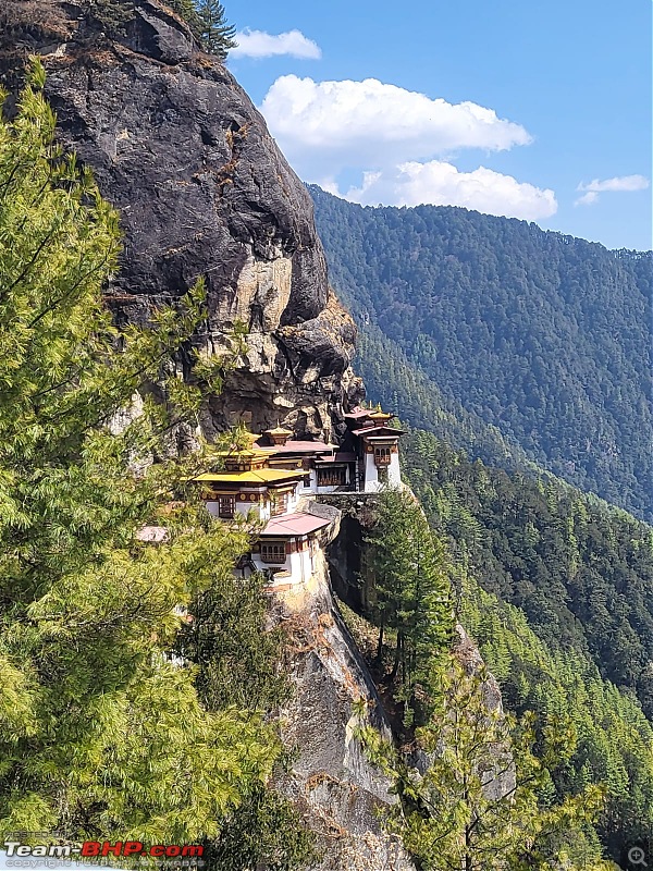 Cochin-Bhutan-Cochin | My wife and me on a BMW GSA 1200 | A 6700 km ride to Dragon Country-tiger-2.jpg