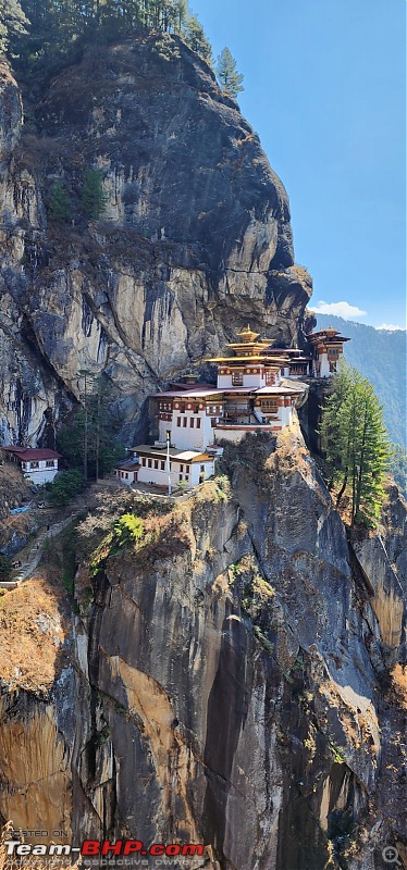 Cochin-Bhutan-Cochin | My wife and me on a BMW GSA 1200 | A 6700 km ride to Dragon Country-tiger-6.jpg