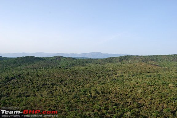 Jungle Lodges, Bandipur - Coonoor-view-1.jpg