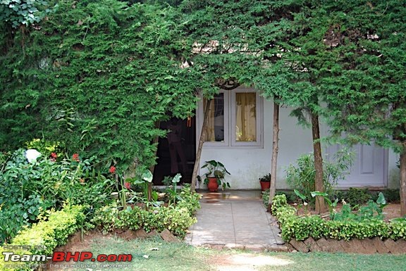 Jungle Lodges, Bandipur - Coonoor-wall-wood-rom.jpg