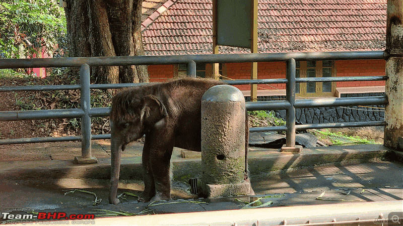 Gavi via Konni - Tata Safari goes on an expedition-konnigavi_00028.gif