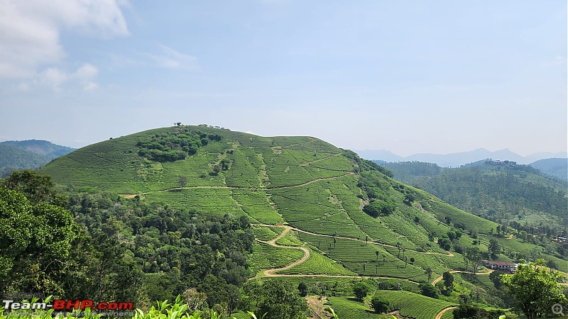 Valparai Story - A farmstay in a tea estate, Nallamudi viewpoint, Sholayar Dam, Thalanar Snow point-7.jpeg