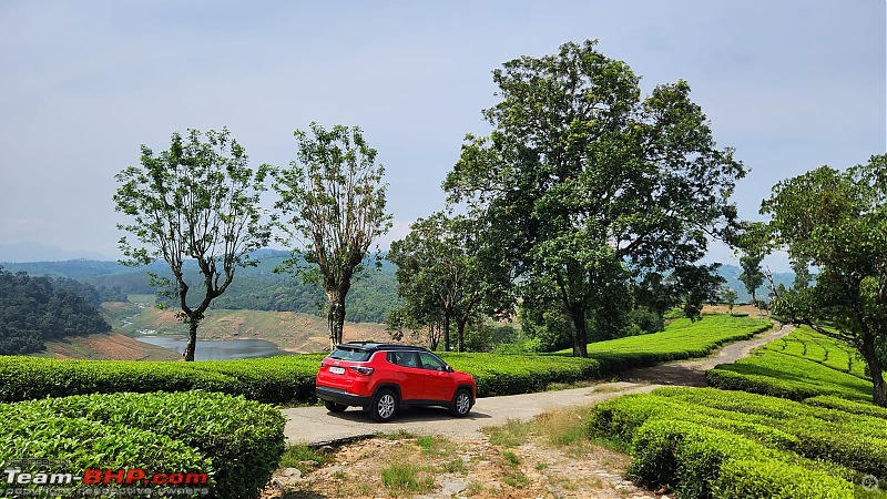 Valparai Story - A farmstay in a tea estate, Nallamudi viewpoint, Sholayar Dam, Thalanar Snow point-9.jpeg