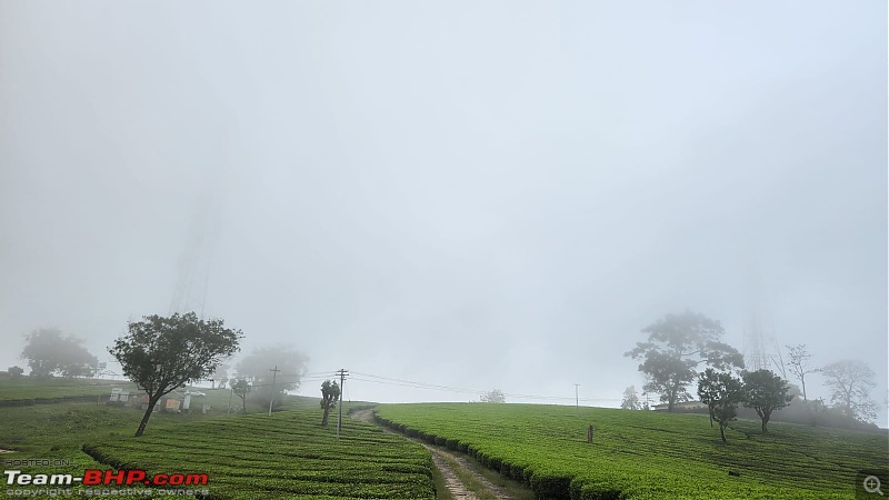 Valparai Story - A farmstay in a tea estate, Nallamudi viewpoint, Sholayar Dam, Thalanar Snow point-1.jpeg