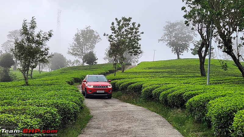 Valparai Story - A farmstay in a tea estate, Nallamudi viewpoint, Sholayar Dam, Thalanar Snow point-2.jpeg