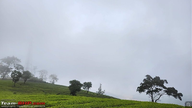 Valparai Story - A farmstay in a tea estate, Nallamudi viewpoint, Sholayar Dam, Thalanar Snow point-4.jpeg
