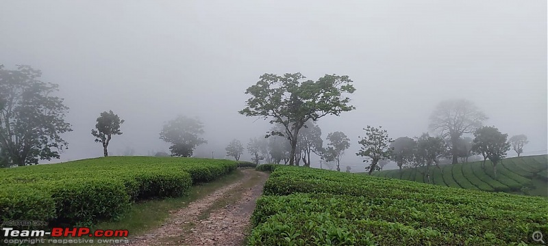 Valparai Story - A farmstay in a tea estate, Nallamudi viewpoint, Sholayar Dam, Thalanar Snow point-8a.jpeg