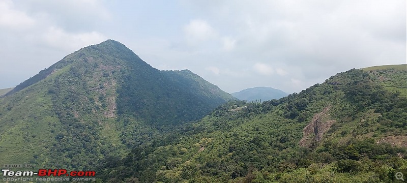 Valparai Story - A farmstay in a tea estate, Nallamudi viewpoint, Sholayar Dam, Thalanar Snow point-s2.jpeg