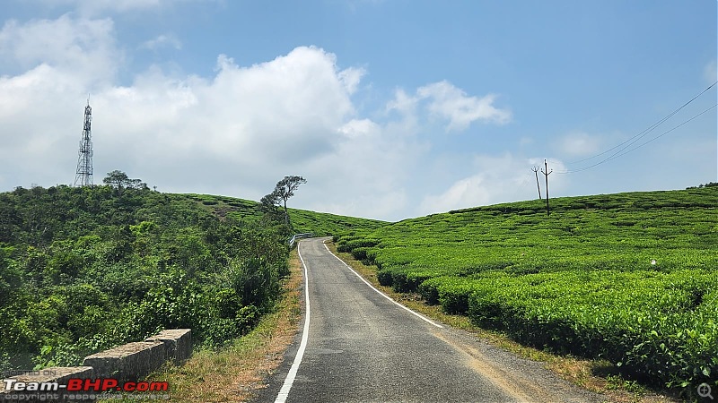 Valparai Story - A farmstay in a tea estate, Nallamudi viewpoint, Sholayar Dam, Thalanar Snow point-s10.jpeg