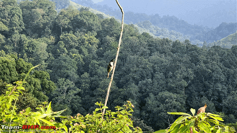 Gavi via Konni - Tata Safari goes on an expedition-konnigavi_00161.gif