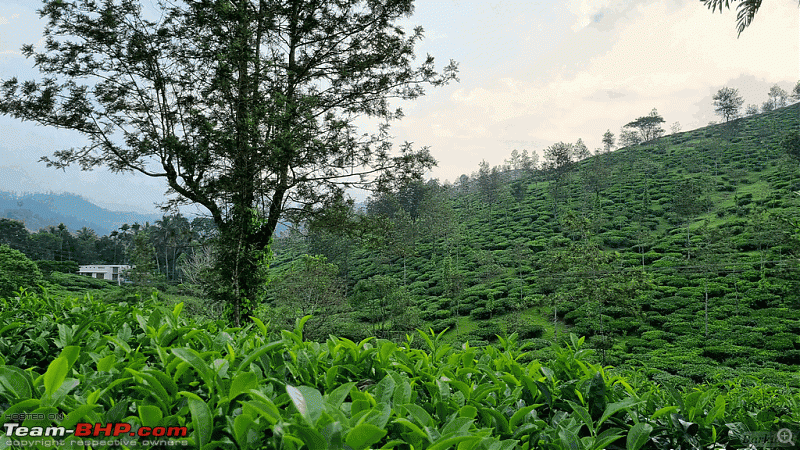 Gavi via Konni - Tata Safari goes on an expedition-konnigavi_00177.gif
