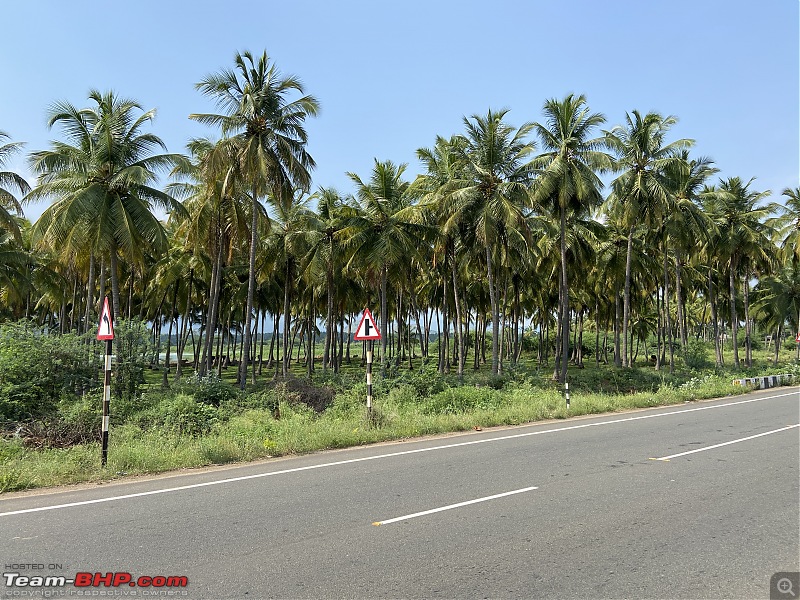 A journey through Kodaikanal and Kerala | Nissan Magnite-22.jpg