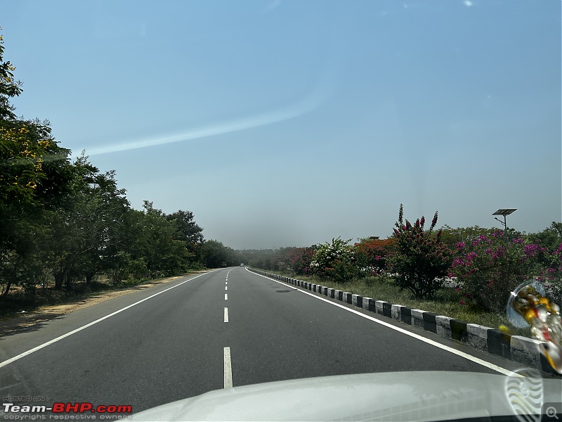 Lucknow to Bangalore - My first cross-country road trip-3-flowers-1.jpg