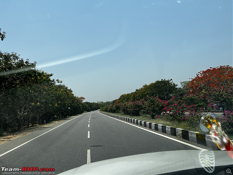 Lucknow to Bangalore - My first cross-country road trip-3-flowers-2.jpg