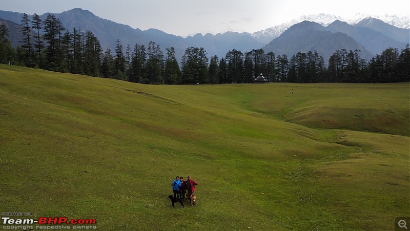 Enchanting Himachal Drive in the Summer-woodzo-7.jpg