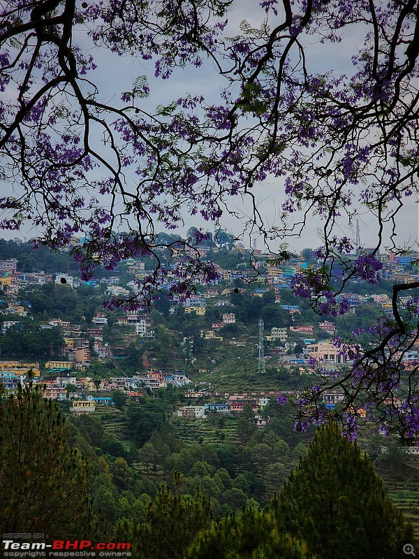 Summer Story '23 : Parts of Kumaon, Uttarakhand-20230524_10533701.jpeg