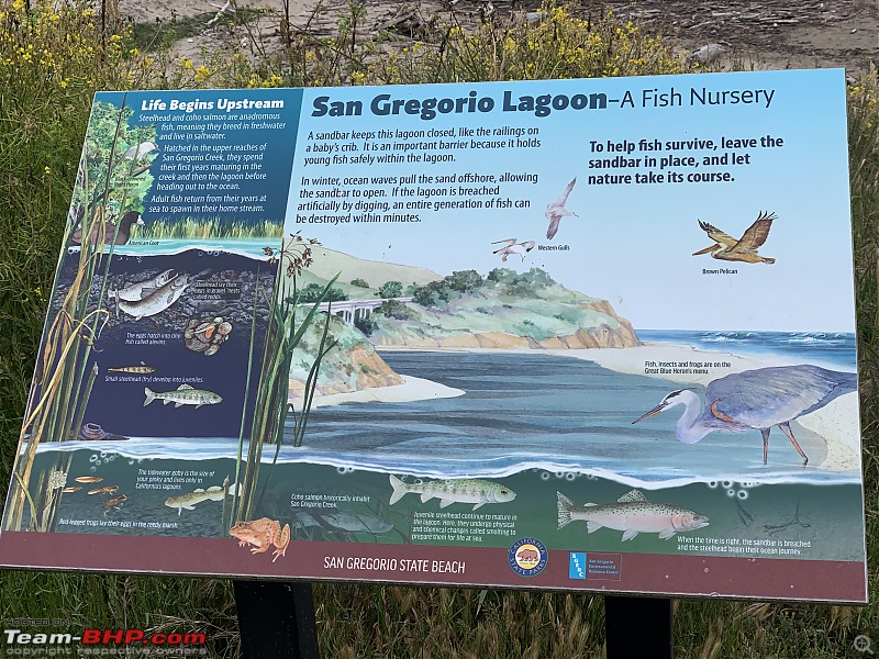 Short drive through the California Bay Area-lagoon-info.jpg