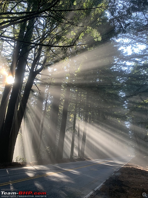 Short drive through the California Bay Area-sunbeams.jpg