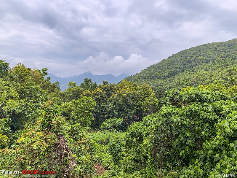 The monsoon chronicles of forests, ghats and waterfalls - Odisha & Chhattisgarh in a Duster AWD-img_2895-8.jpg