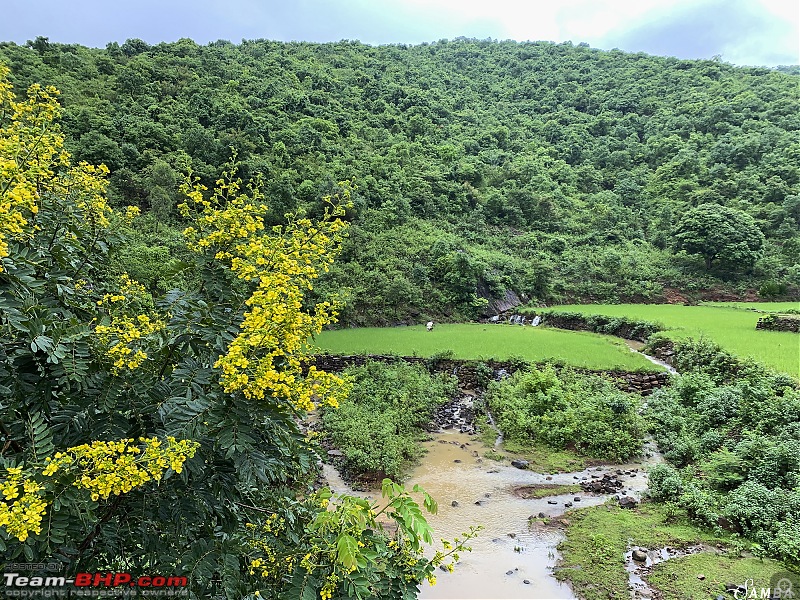 The monsoon chronicles of forests, ghats and waterfalls - Odisha & Chhattisgarh in a Duster AWD-img_3176-3.jpg