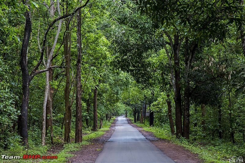 The monsoon chronicles of forests, ghats and waterfalls - Odisha & Chhattisgarh in a Duster AWD-img_3296.jpg