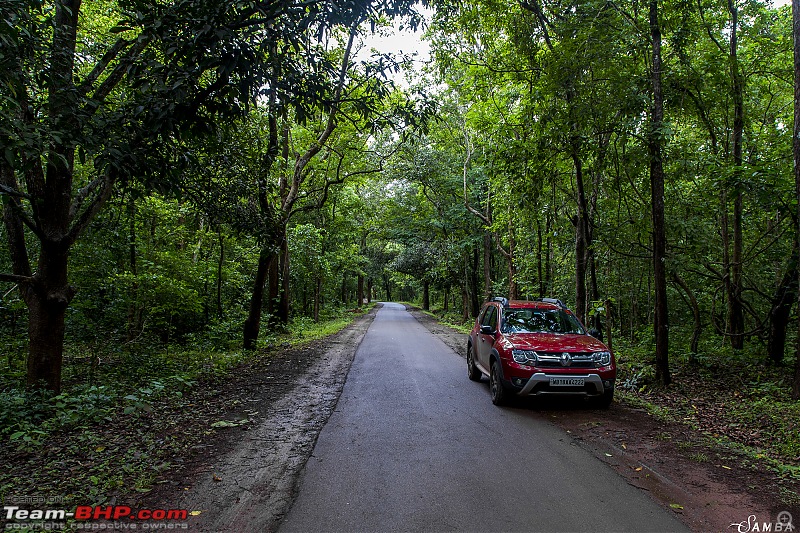 The monsoon chronicles of forests, ghats and waterfalls - Odisha & Chhattisgarh in a Duster AWD-img_3297.jpg