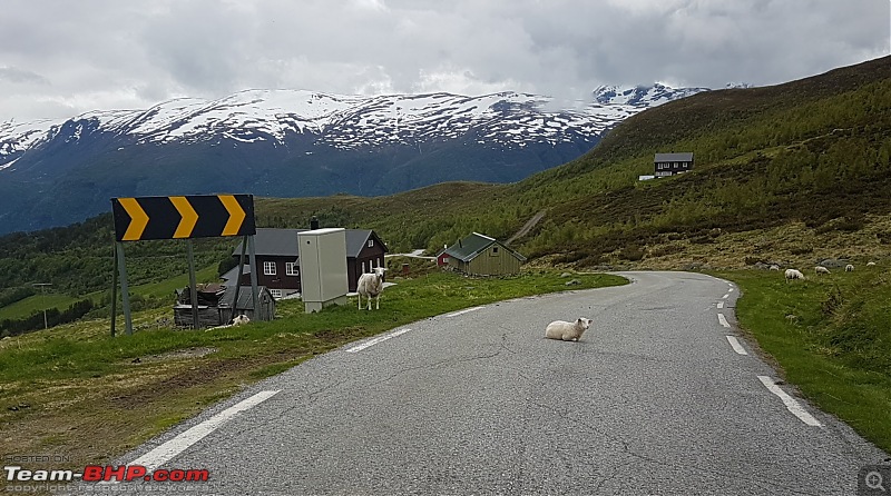 50 shades of green : Exploring Norway-20170613_162230.jpg