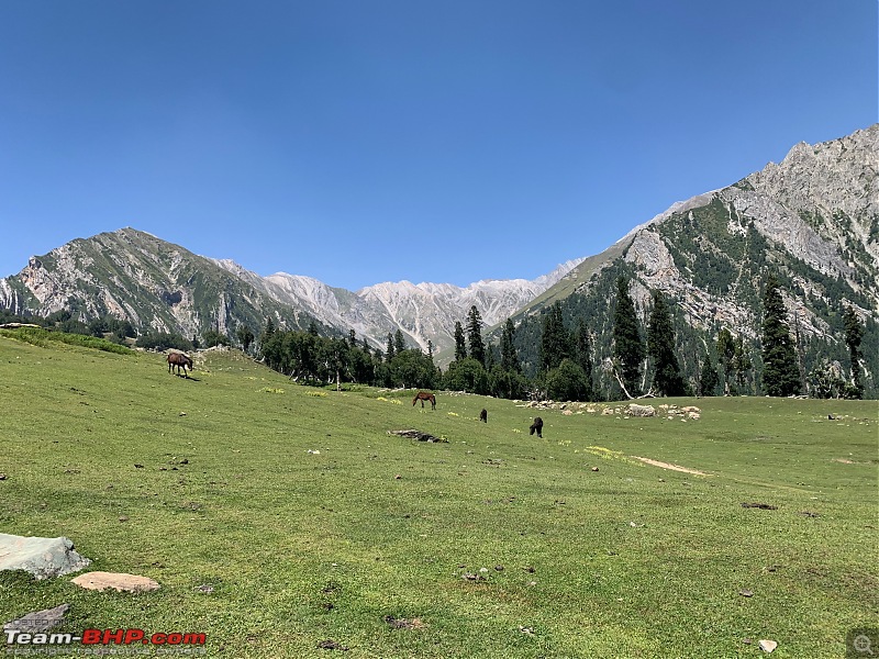 Kashmir Great Lakes Trek | The best trek in India?-kg-34.jpg