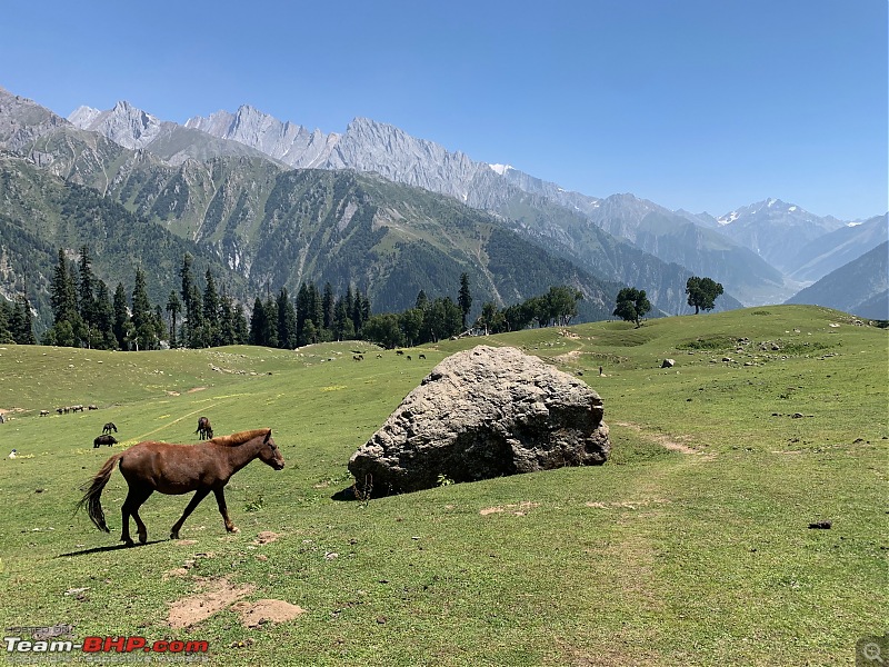 Kashmir Great Lakes Trek | The best trek in India?-kg-35.jpg