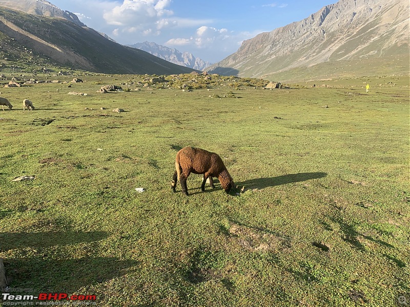 Kashmir Great Lakes Trek | The best trek in India?-kg-71.jpg