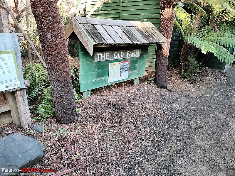 One week in Tasmania - More fun than we thought!-unzoo-21.jpg