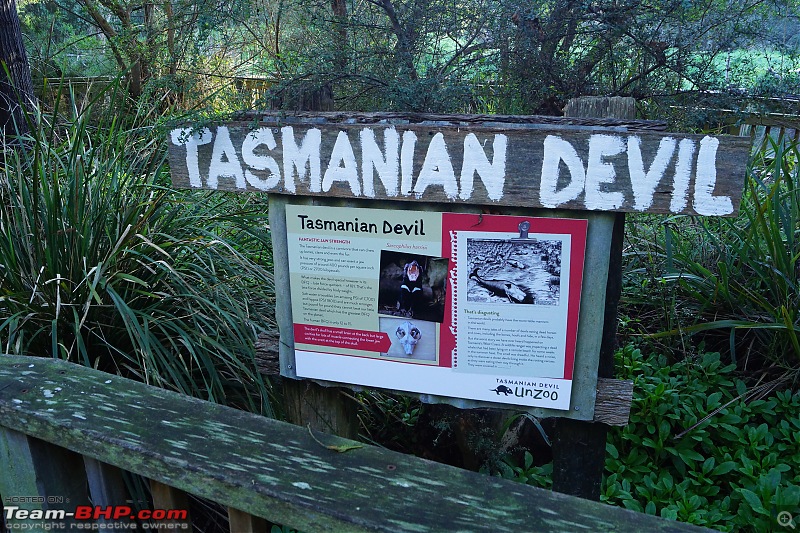 One week in Tasmania - More fun than we thought!-unzoo-40.jpg