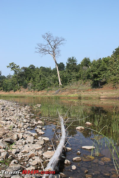 Haiku From The Dangs (The Forest Belt Of Gujarat)-across_the_river.jpg